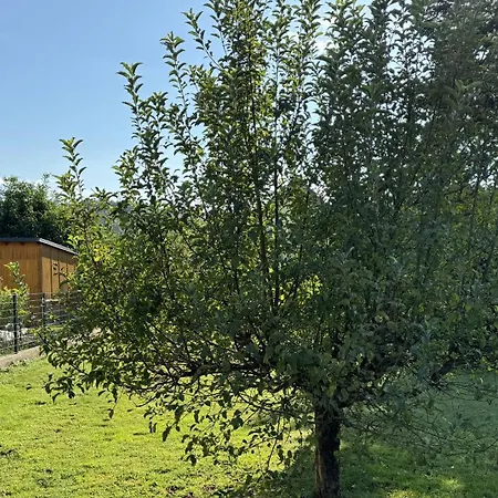 Ailsbach Ruhig, Eingezaeunt, Hundefreundlich Nahe A3 Vakantiehuis