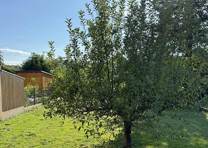 Ailsbach Ruhig, Eingezaeunt, Hundefreundlich Nahe A3 בית נופש